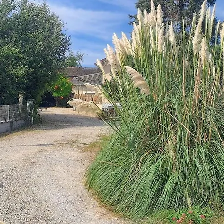 Charmante Petite Maison Torcenay Extérieur photo