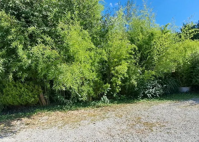 Charmante Petite Maison
